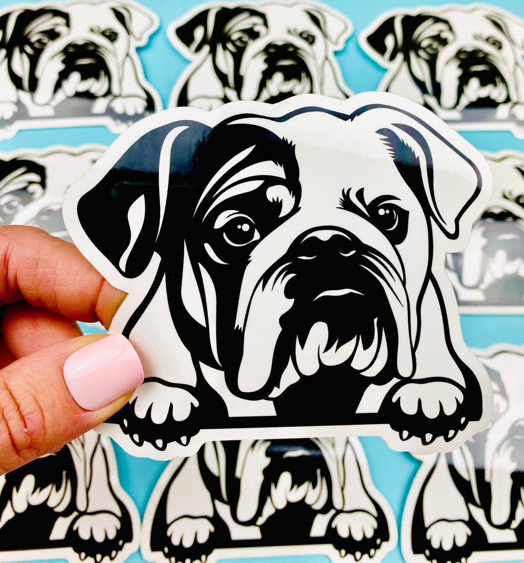 English Bulldog Peeking Paws Sticker