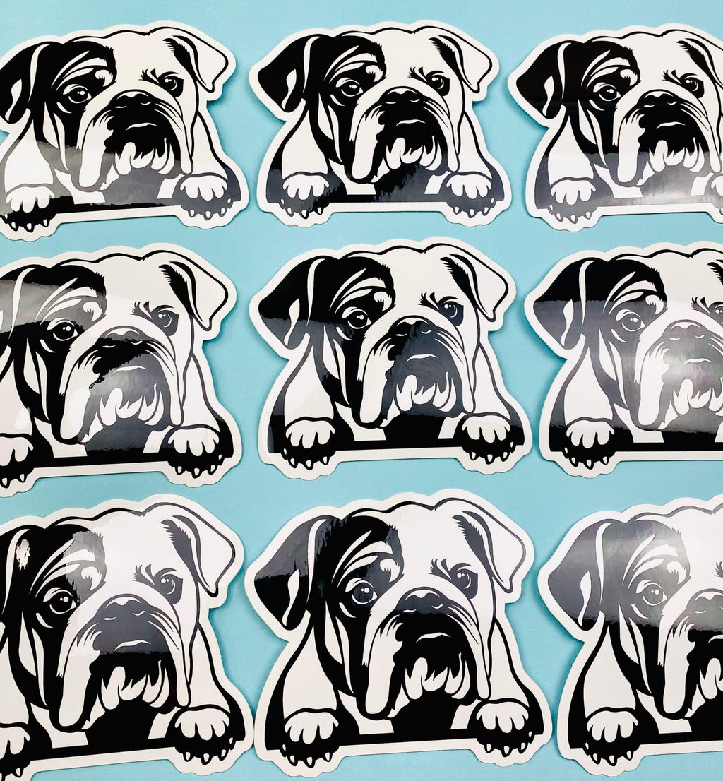 English Bulldog Peeking Paws Sticker