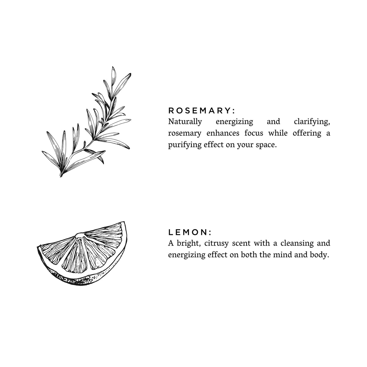 Rosemary + Lemon - Signature Candle