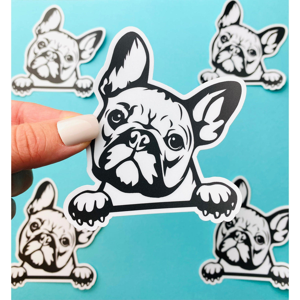 French Bulldog Sticker Black & White Frenchie