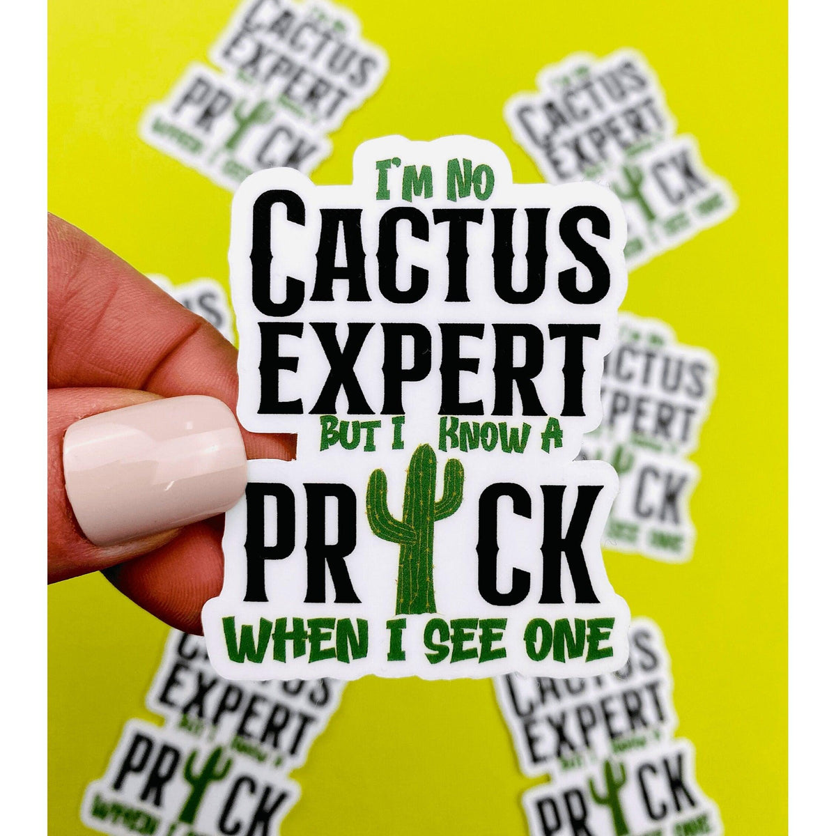 I'm No Cactus Expert Sticker I Know A Prick When I See One Sarcastic Sticker for Women Southwest Humor Western Stickers