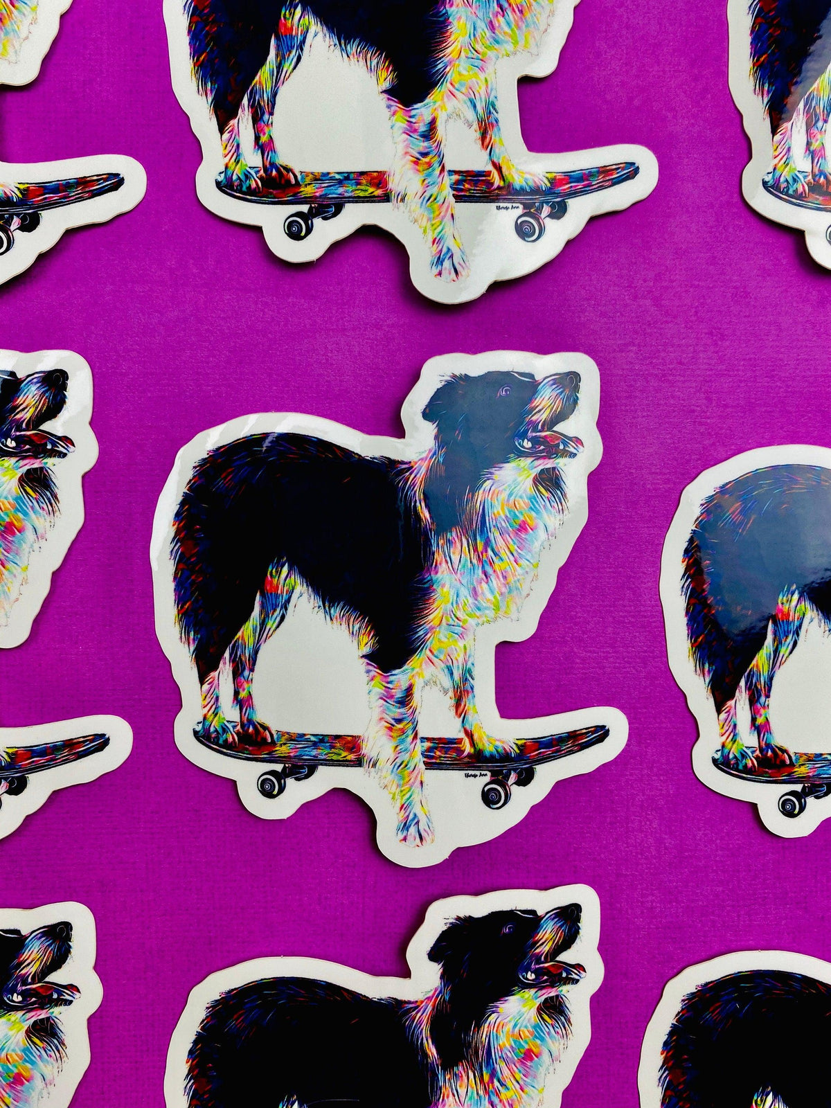 Border Collie Skateboard Sticker